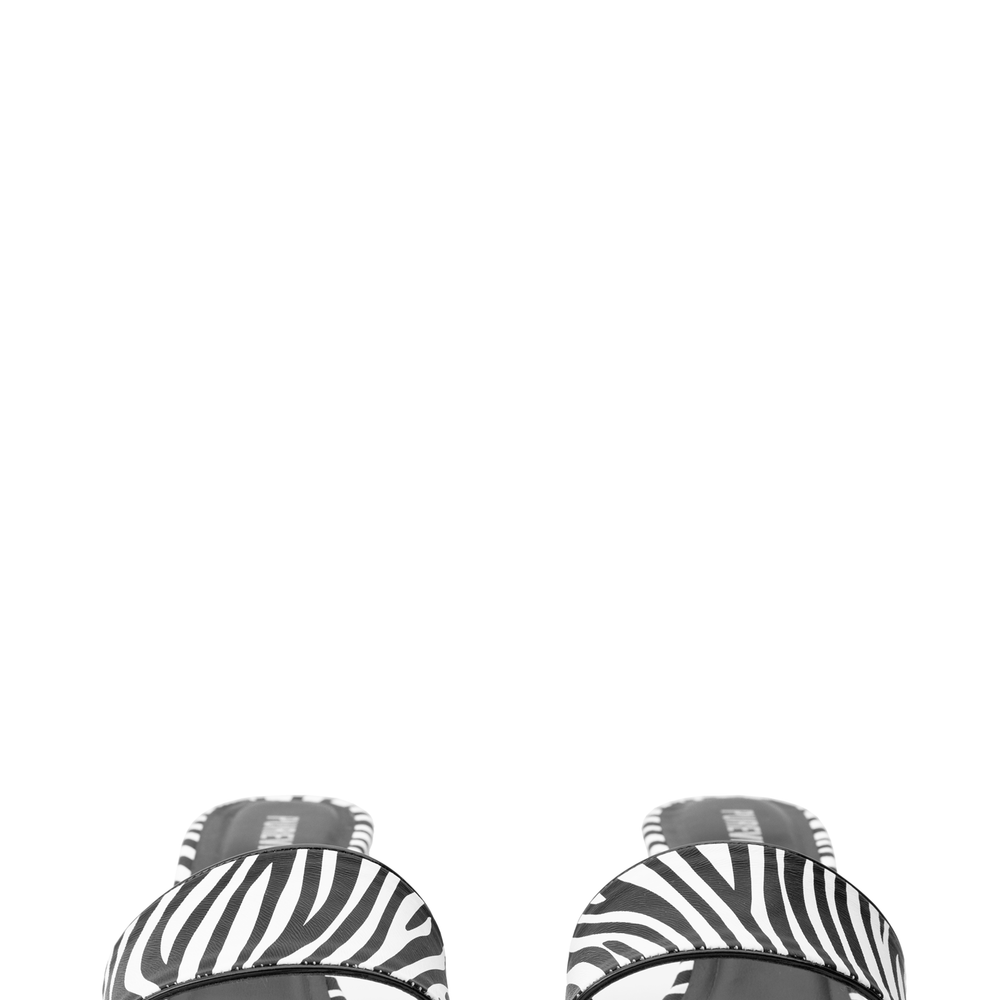 
                  
                    PENNY ZEBRA
                  
                