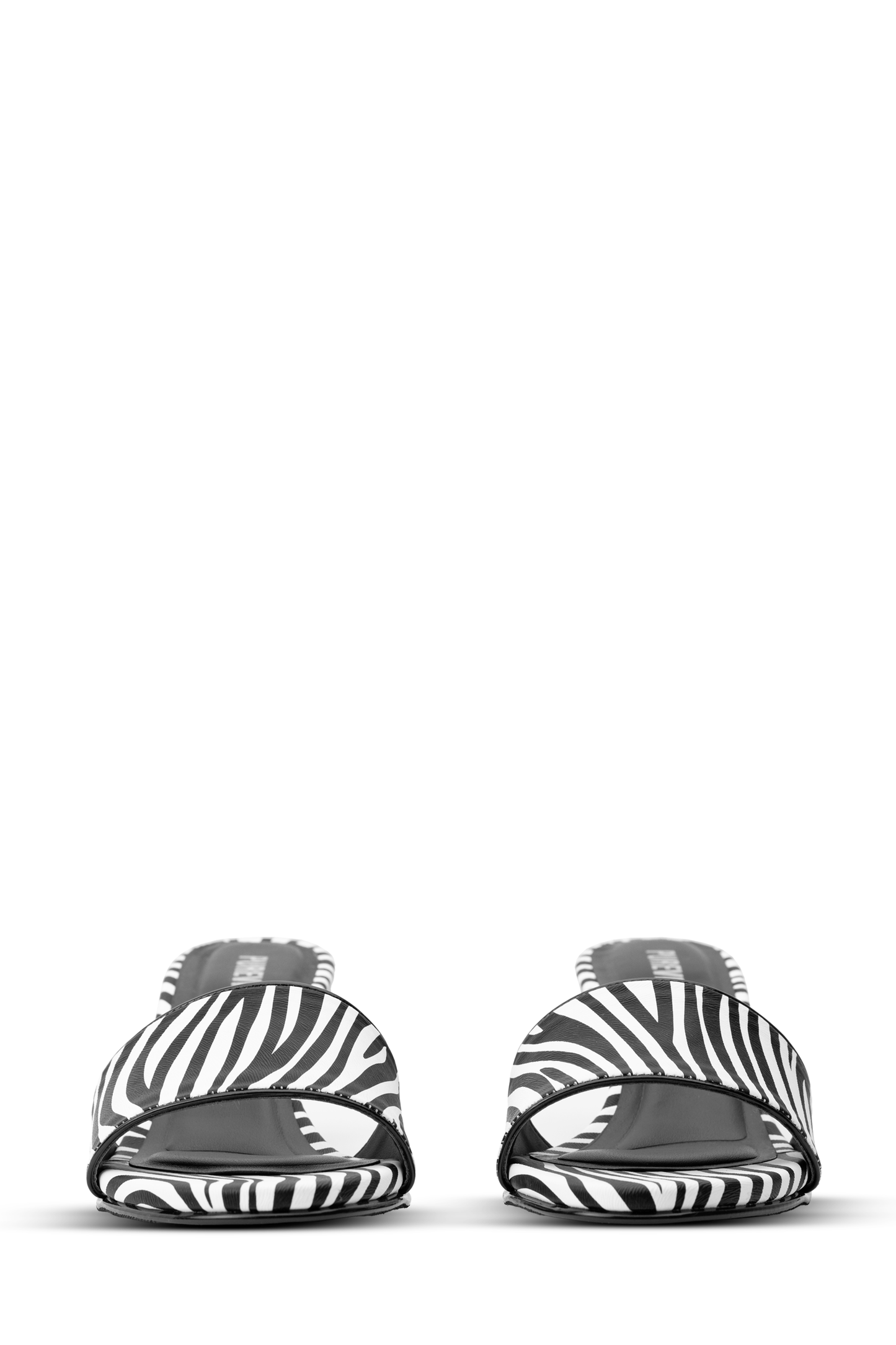 
                  
                    PENNY ZEBRA
                  
                